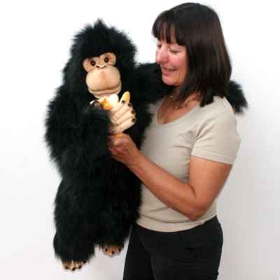 Video Marionnette a main The Puppet Company Chimpanze -PC004102